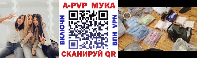A PVP СК Северодвинск
